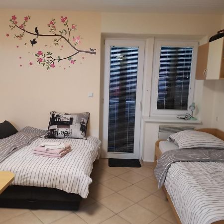Apartma Gaber 80 Zrece Exterior photo