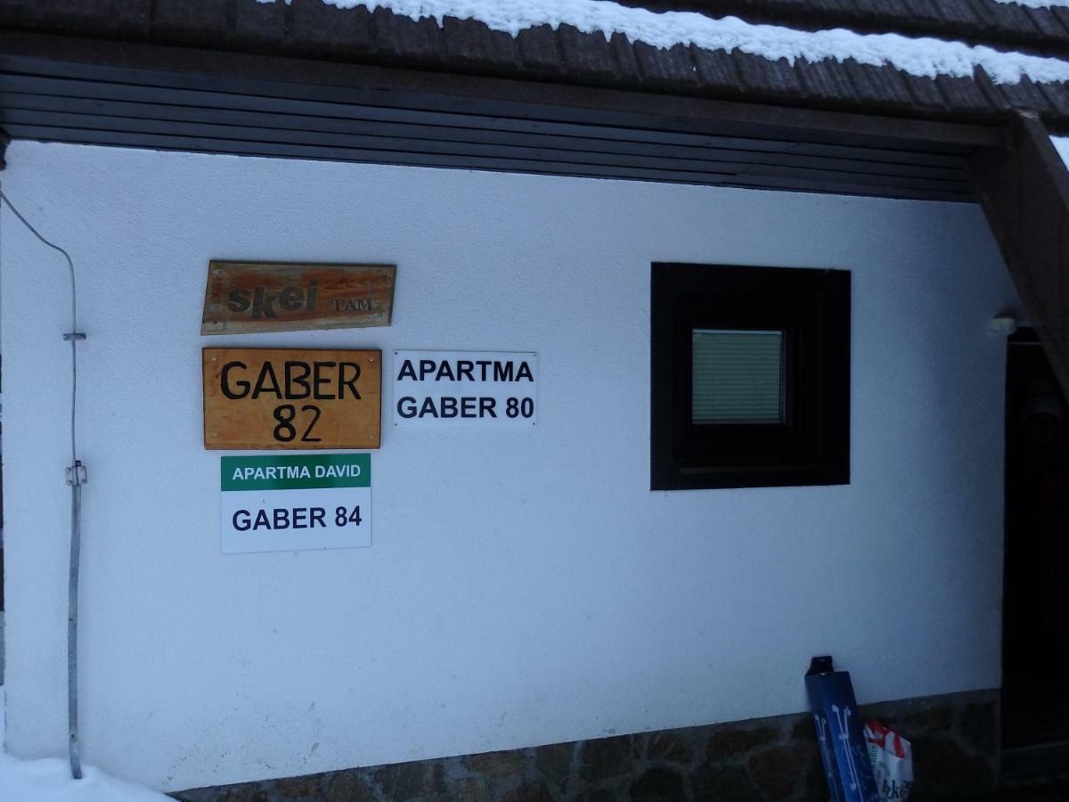 Apartma Gaber 80 Zrece Exterior photo